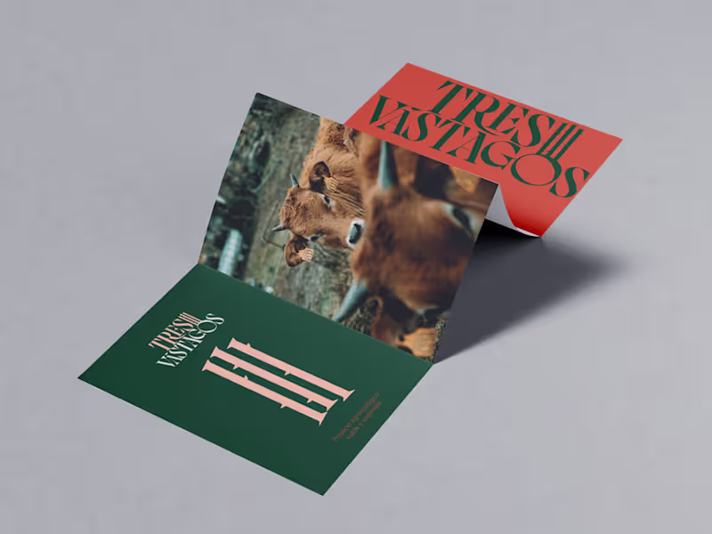 Cover image for I don't design logos, I create brands that leave a mark