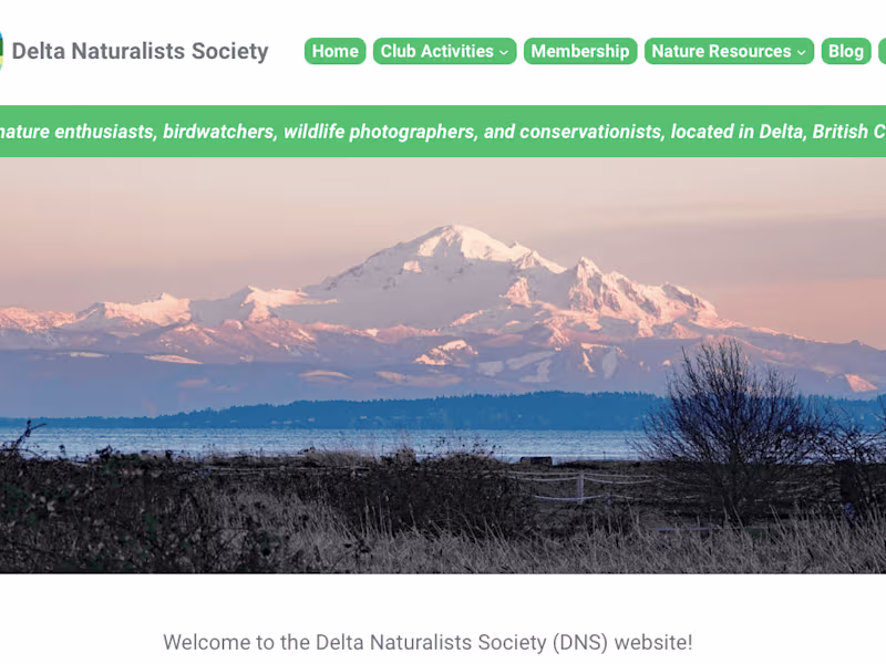Cover image for Case Study: Delta Naturalists Society Website