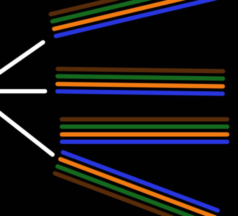 Cover image for Illustrating and Animating a Network