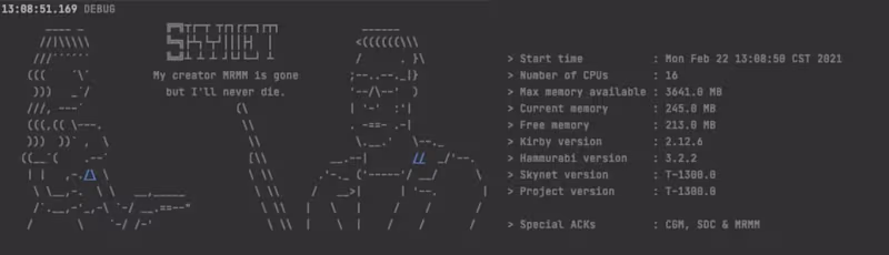 Cover image for Skynet — Bringing together business and data engineering