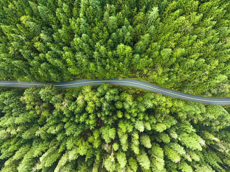 Cover image for Video Production