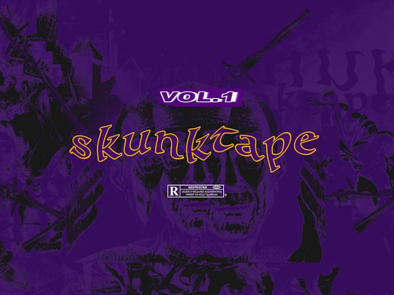 Cover image for Skunktape