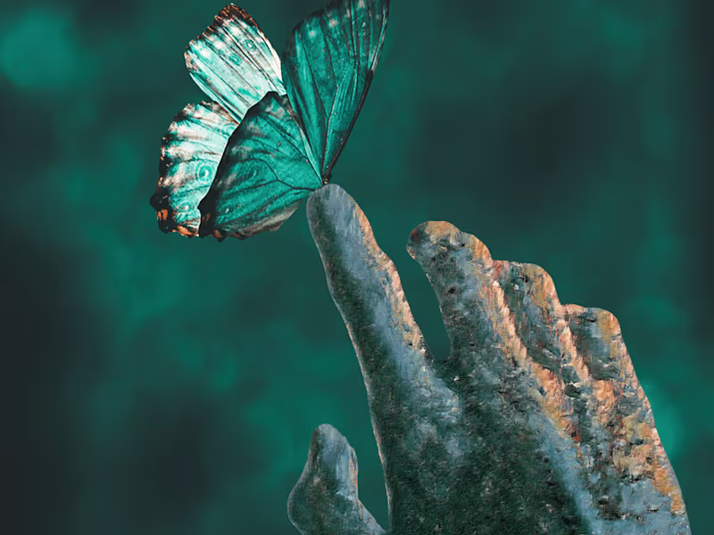 Cover image for Reach.