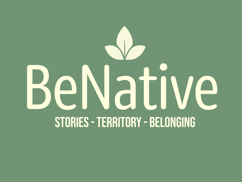 Cover image for BeNative: Presentation Video