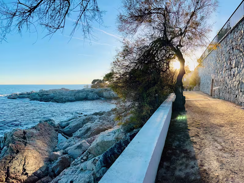 Cover image for Freelance writing to transform your ideas into beautiful prose.