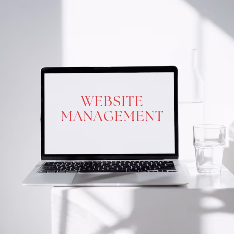 Cover image for Website Management 