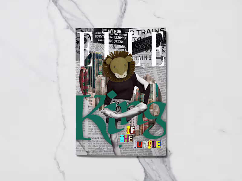 Cover image for Miscellaneous Projects