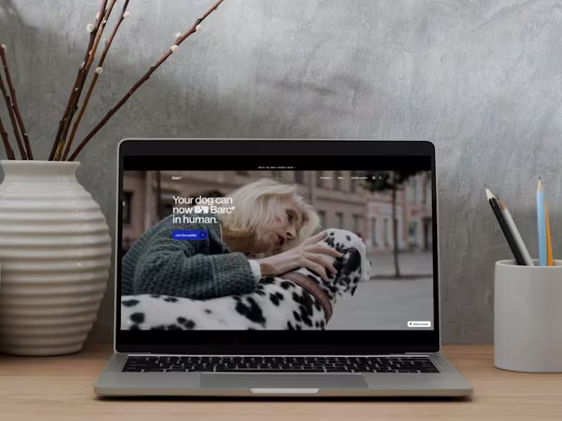 Cover image for Webflow Development
