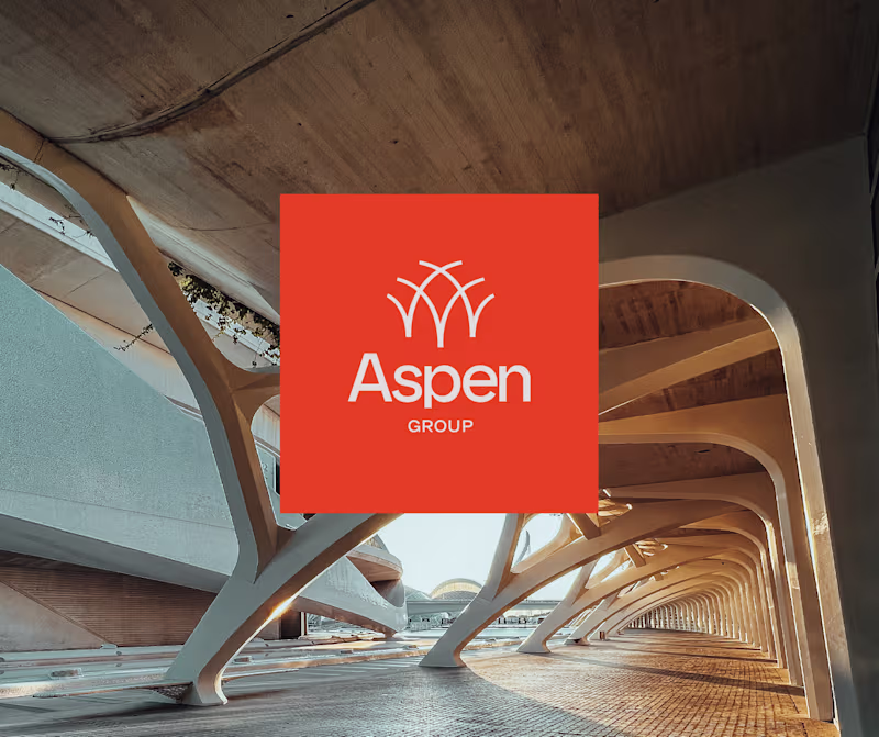 Cover image for Aspen Group