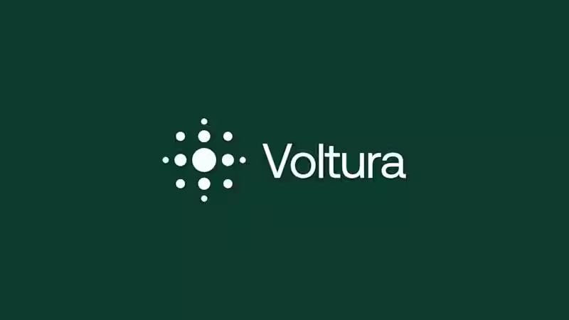 Cover image for Brand Identity for Voltura