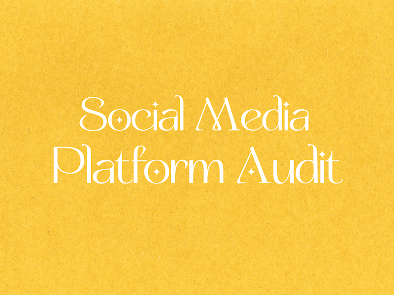 Cover image for I will Review Your Social Media Presence: Platform Audit