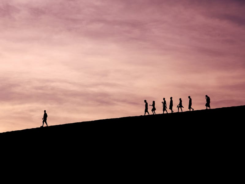 Cover image for Leadership Development & Coaching