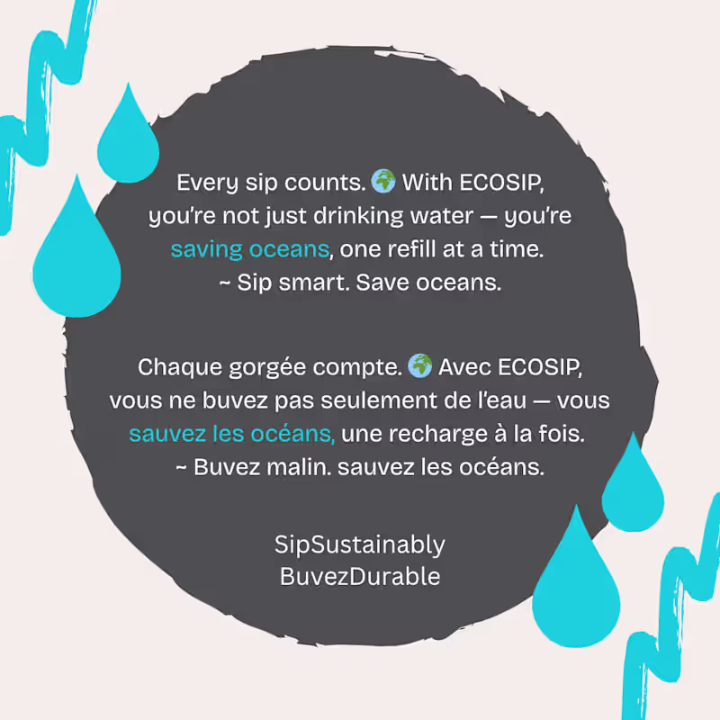 Cover image for Social Media Campaign 