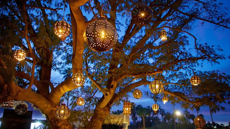 Cover image for Los Cabos Hidden Gems (Part 3): Holiday Season Edition - South …