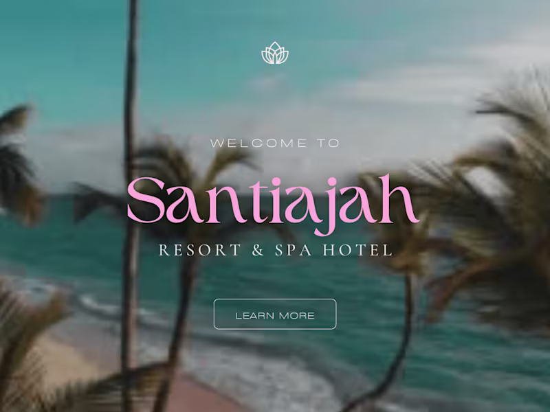 Cover image for BUSINESS WEBSITE