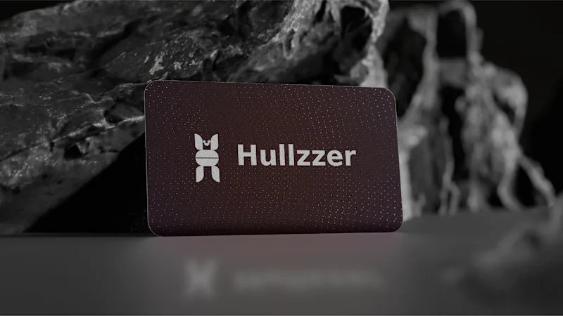 Cover image for Hullzzer bot logo