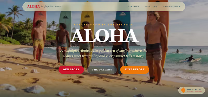 Cover image for Surfing in Hawaii: A Hawaiian Rollercoaster Tribute Website