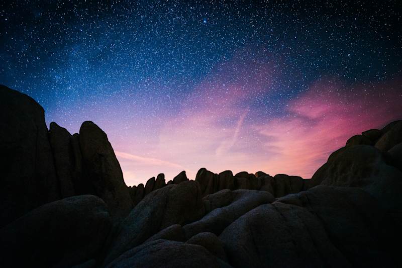 Cover image for A planetary & infinite Existence