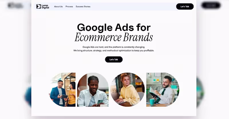 Cover image for This project is a professional