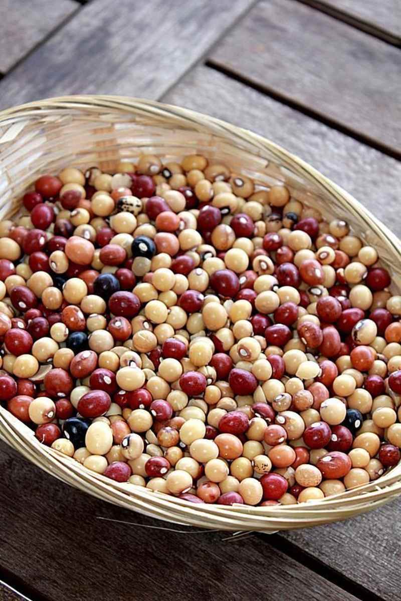 Cover image for FOODVENTURE: ZIMBABWEAN DISH MUTAKURA