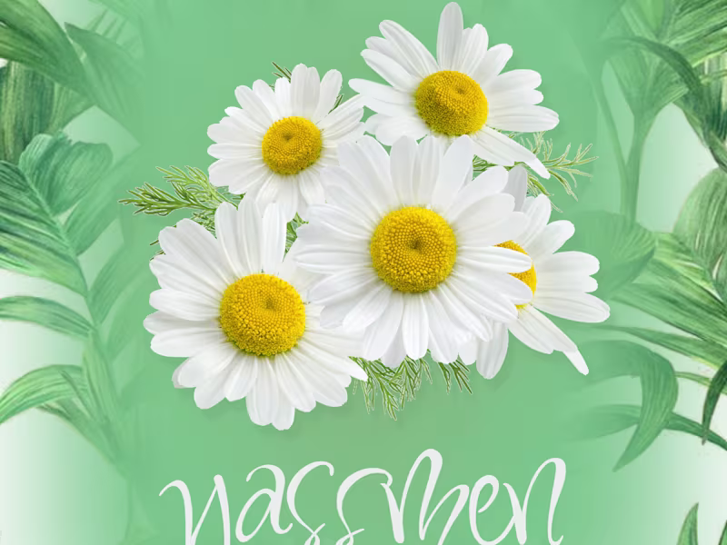 Cover image for Website Design: landing page, e-commerce, business website