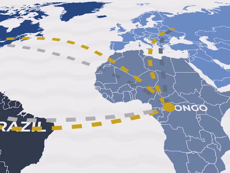 Cover image for Motion Mastery: Transform Your Brand Dynamically!