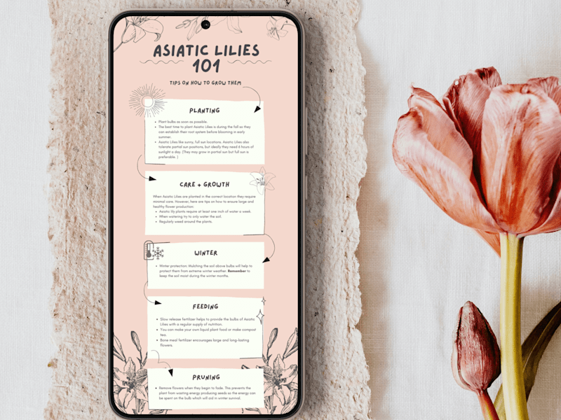 Cover image for Infographics — ROSEWORD STUDIO