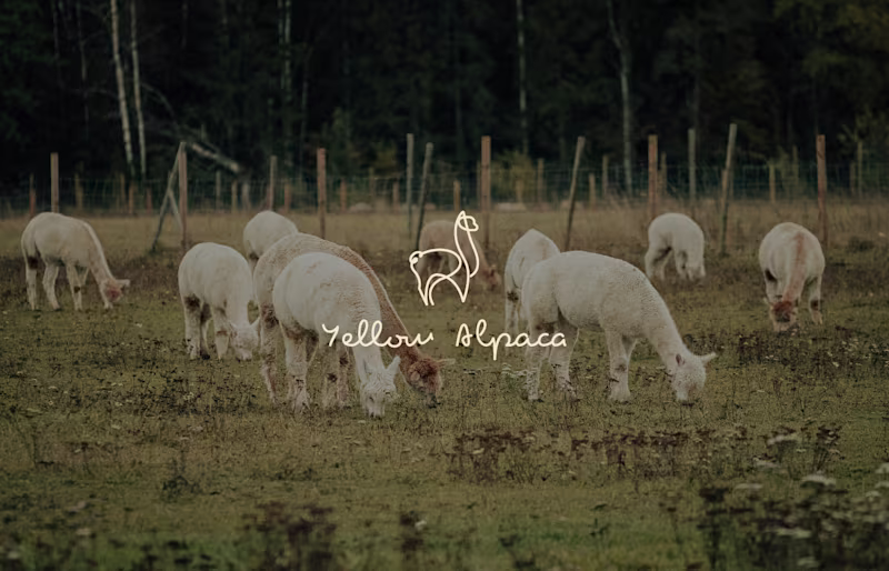 Cover image for Yellow Alpaca | logo design&brand identity