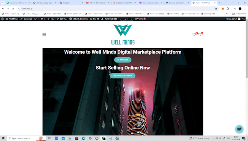 Cover image for Wordpress Website Marketplace