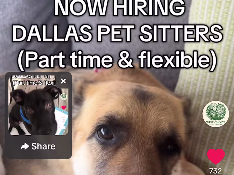 Cover image for TikTok Hiring Campaign for Wise Choice Pet Services