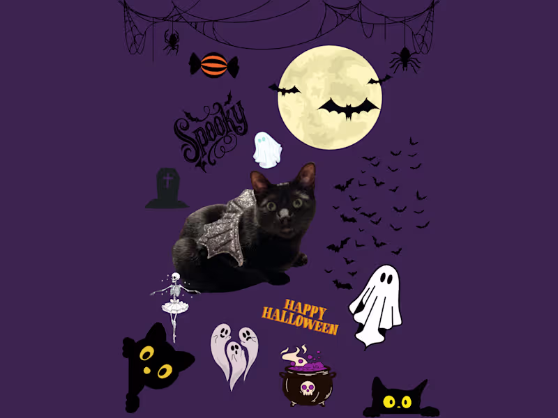 Cover image for Pets + Absurdity = Art. Let me collage your little weirdo.