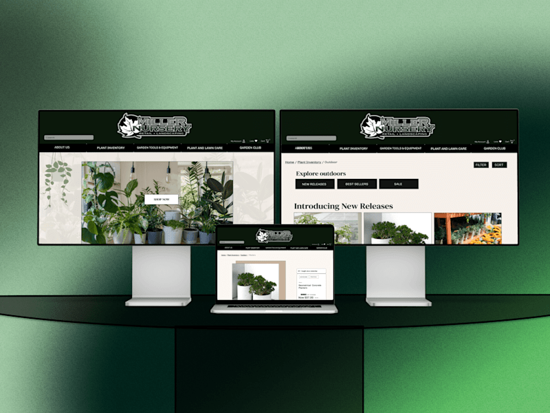 Cover image for A Journey into Ecommerce