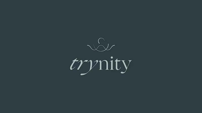 Cover image for Trynity