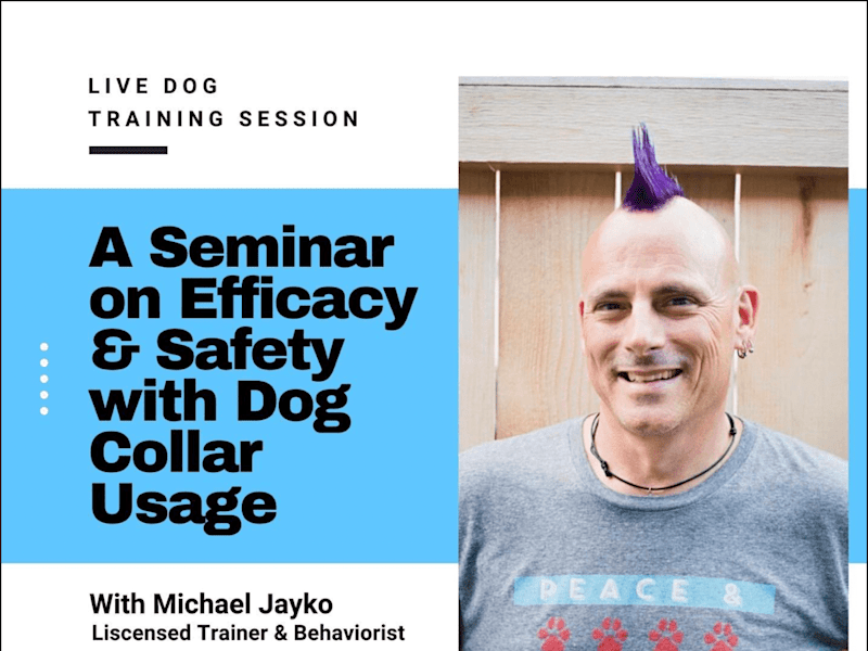 Cover image for Live Dog Training Seminars
