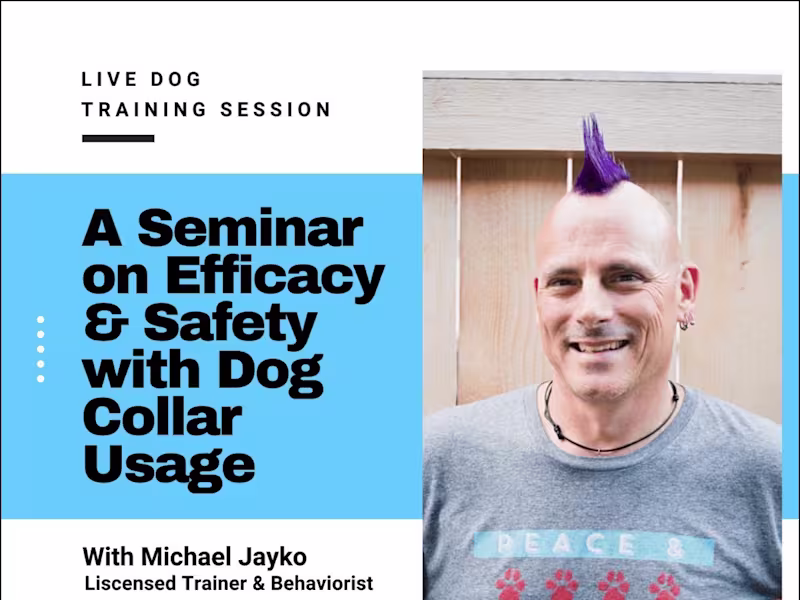 Cover image for Live Dog Training Seminars