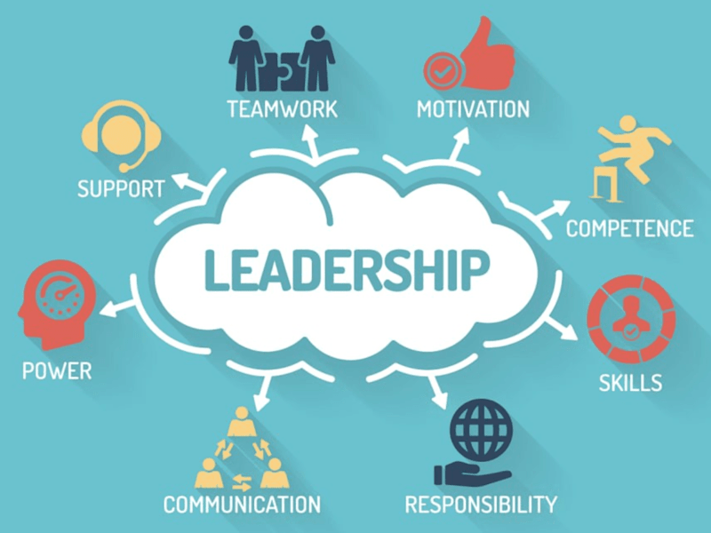 Cover image for Operations and Team Management