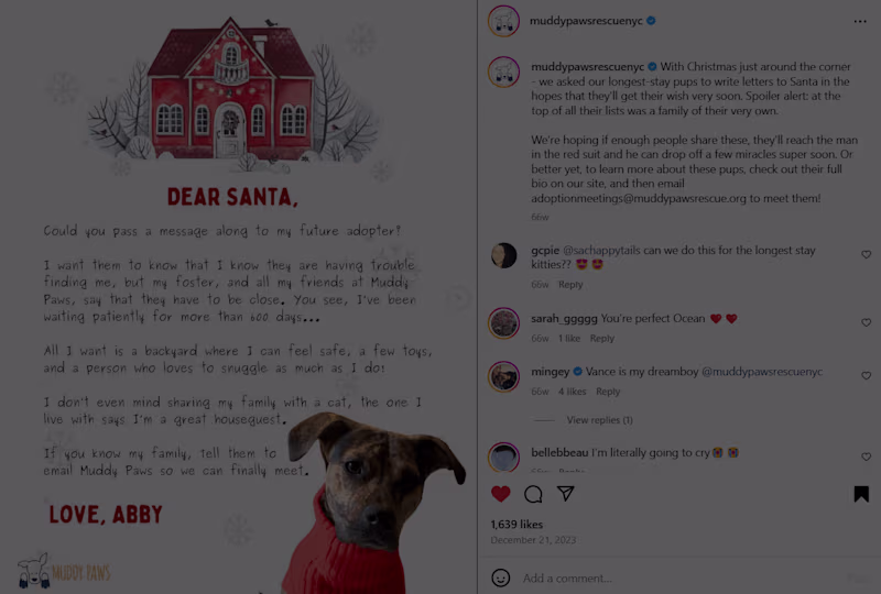 Cover image for Content & Social - Muddy Paws Rescue