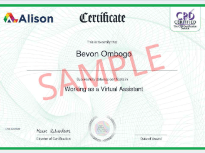 Cover image for  professional personal Assistant and Virtual Assistant services 