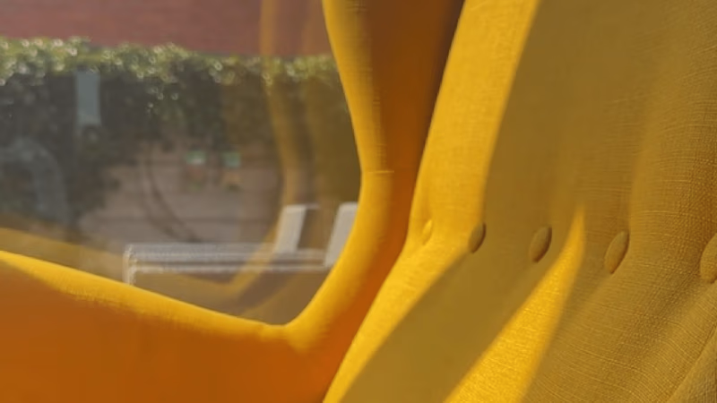 Cover image for Shine On: Why Yellow is the Most Radiant Colour of All! ☀️💫