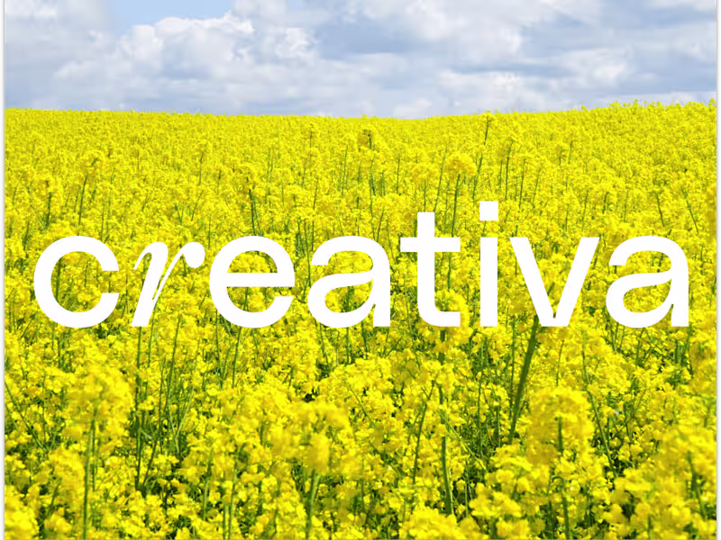 Cover image for 🍋 Creativa Design Co