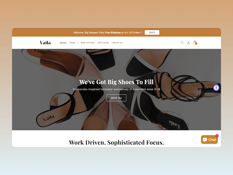 Cover image for Vaila Shoes – Shopify Website Setup