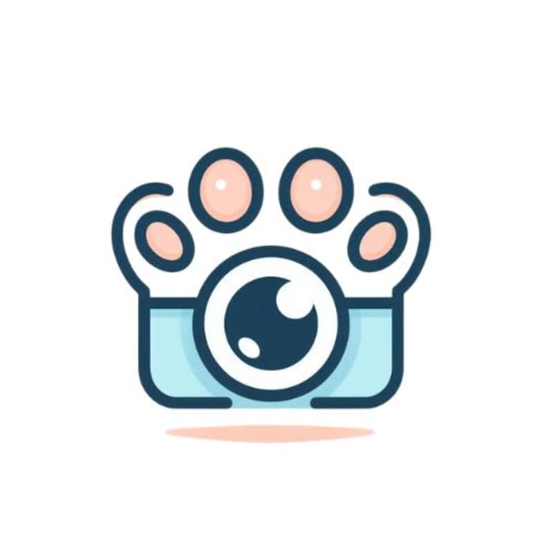 Cover image for Design for a Pet Photography Business