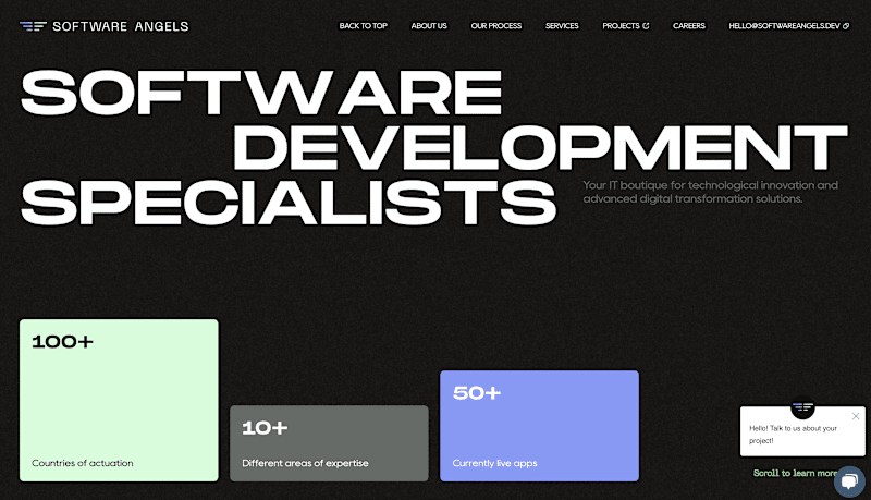 Cover image for Software Angels