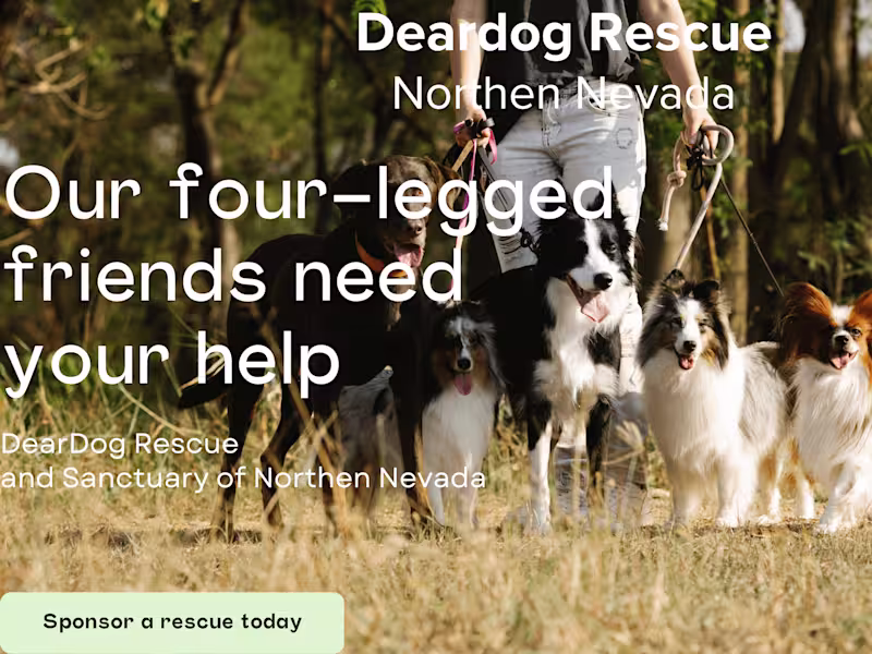 Cover image for Non Profit Website