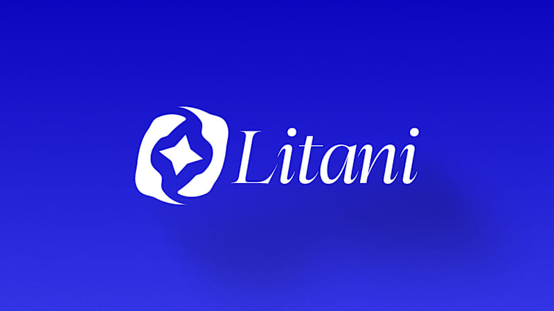 Cover image for Litani | Logo Design