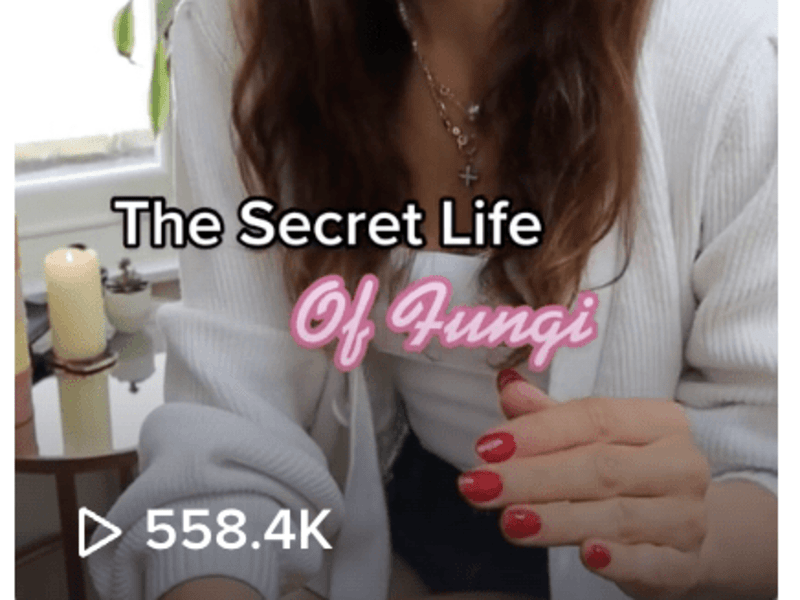 Cover image for Content Creation