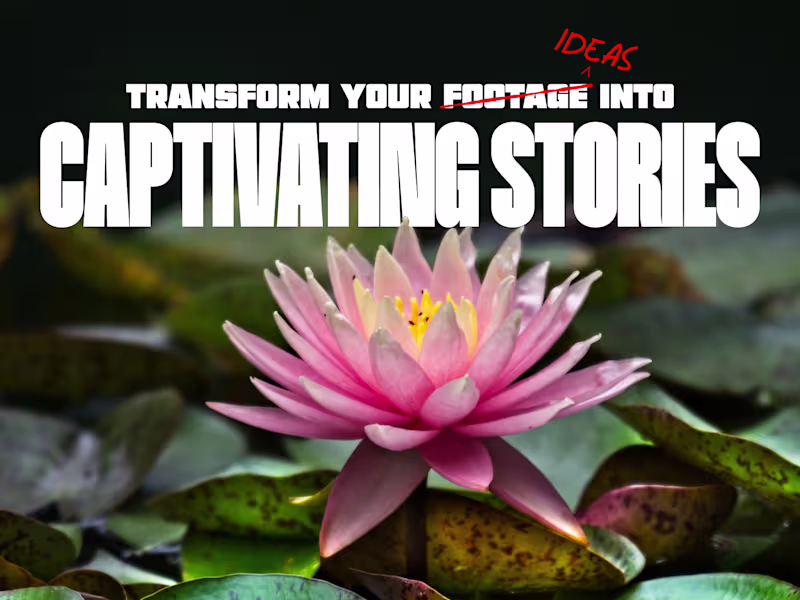 Cover image for Storytelling Through the Art of Video Editing for Instagram