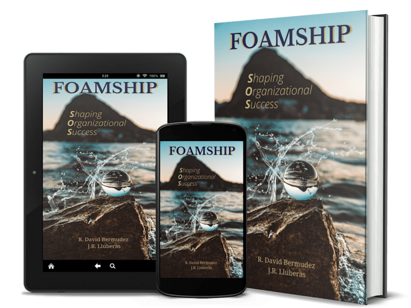 Cover image for Original, professional paperback book cover design