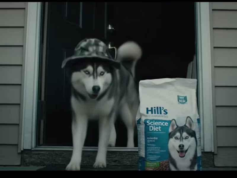 Cover image for Branded Storytelling with Dog as Lead