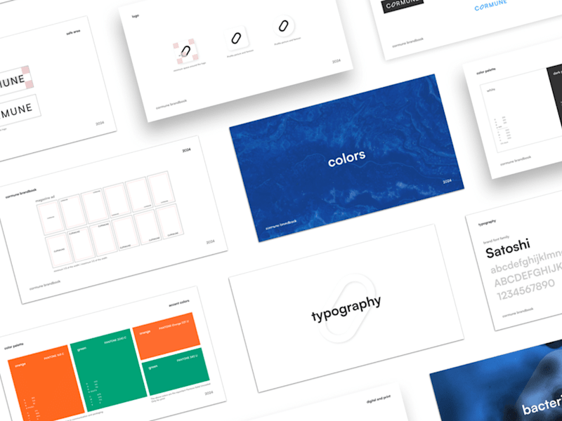 Cover image for Brand Identity Design